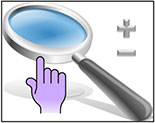 Zoom, Pan, and Inset view